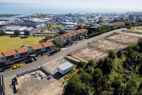 Photo of property in 19 Hospital Terrace, Hospital Hill, Napier, 4110