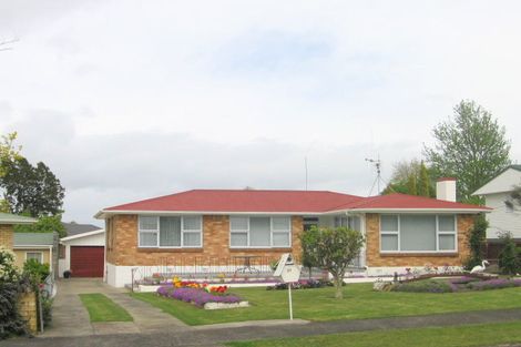 Photo of property in 23 Cobham Drive, Morrinsville, 3300
