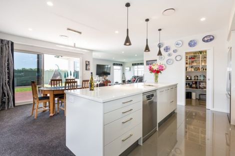 Photo of property in 32 Pelorus Avenue, Poraiti, Napier, 4112