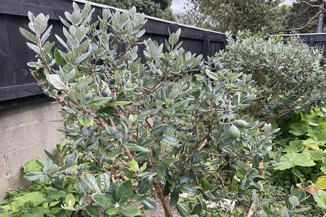 Photo of property in 74 Cambridge Terrace, Waterloo, Lower Hutt, 5011