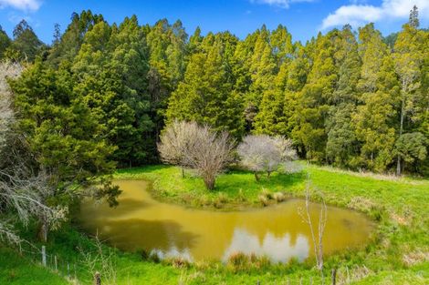 Photo of property in 692 Haruru Road, Kaukapakapa, 0873