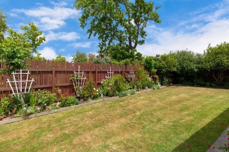 Photo of property in 8b Ida Street, Redwoodtown, Blenheim, 7201