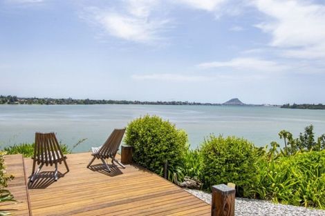 Photo of property in 310 Maungatapu Road, Maungatapu, Tauranga, 3112