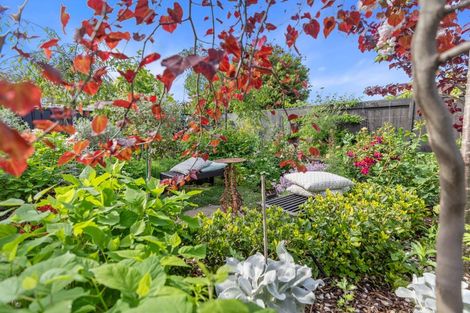 Photo of property in 9 Parkwood Place, Papamoa Beach, Papamoa, 3118