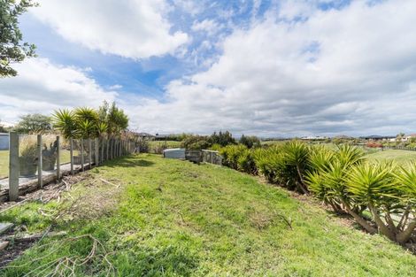 Photo of property in 49 Wapiti Avenue, Feilding, 4775