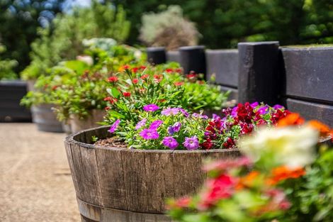 Photo of property in 141 Dip Road, Te Kamo, Whangarei, 0176