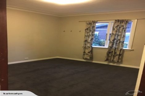 Photo of property in 125 Evans Street, Opoho, Dunedin, 9010