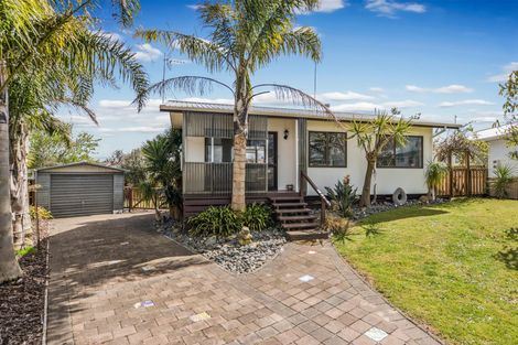 Photo of property in 8 Wiseley Place, Morrinsville, 3300