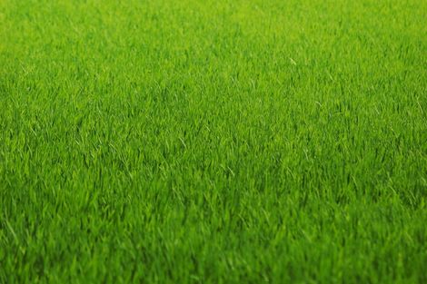 Photo of property in 5 Chapel Close, Springlands, Blenheim, 7201