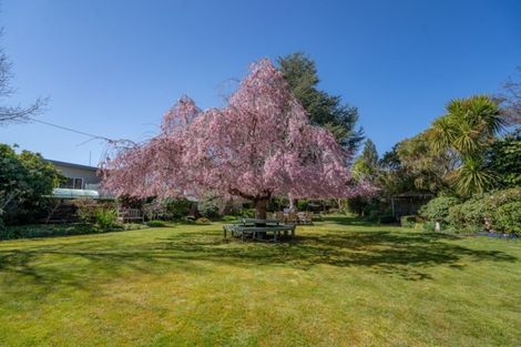 Photo of property in 21 Fergus Square, Te Anau, 9600
