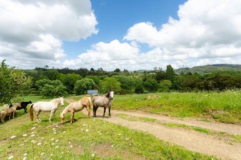 Photo of property in 48 Doel Road, Kawakawa, 0282