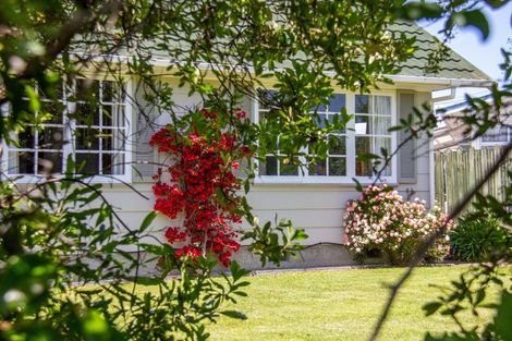 Photo of property in 34 Freyberg Street, Solway, Masterton, 5810