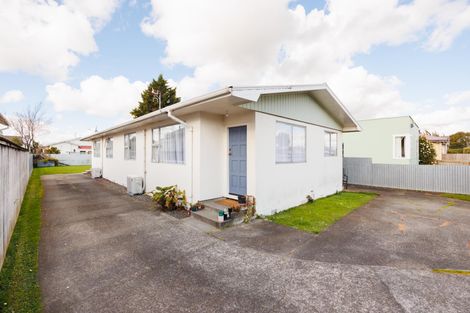 Photo of property in 101 Shamrock Street, Takaro, Palmerston North, 4412