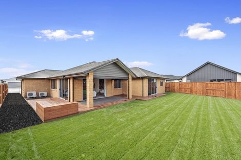 Photo of property in 17 Sydney Place, Flagstaff, Hamilton, 3210