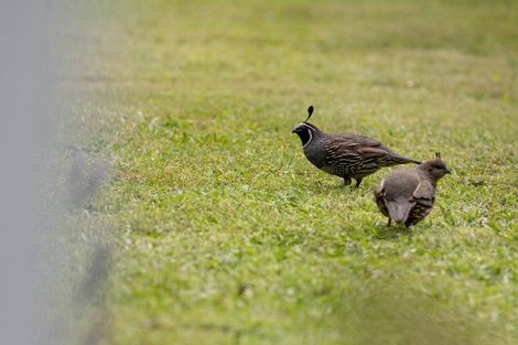 Photo of property in 398 Hallett Road, Otakiri, Whakatane, 3192
