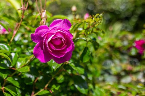 Photo of property in 66 Eskdale Road, Papakowhai, Porirua, 5024