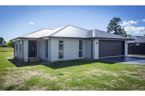 Photo of property in 77 Te Ngawai Road, Pleasant Point, 7903