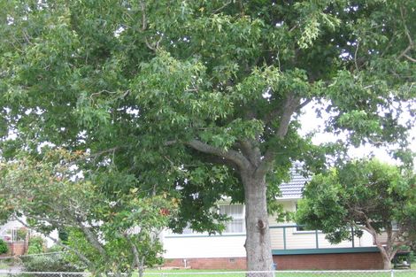 Photo of property in 22 Laurel Street, Mount Albert, Auckland, 1025