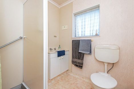 Photo of property in 9 Saxton Street, Levin, 5510