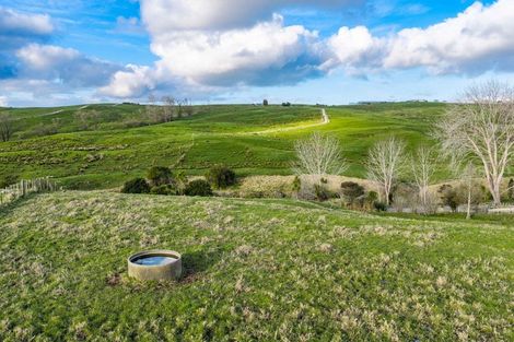 Photo of property in 272 Huarau Road, Whakapirau, Maungaturoto, 0583