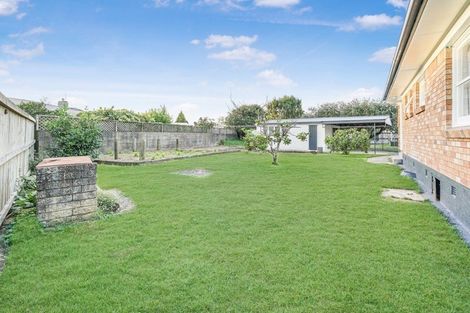 Photo of property in 91 Lewis Street, Glenview, Hamilton, 3206