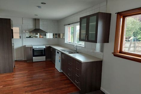 Photo of property in 19 O'briens Road, Sockburn, Christchurch, 8042