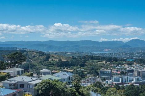 Photo of property in 83 Washington Avenue, Brooklyn, Wellington, 6021