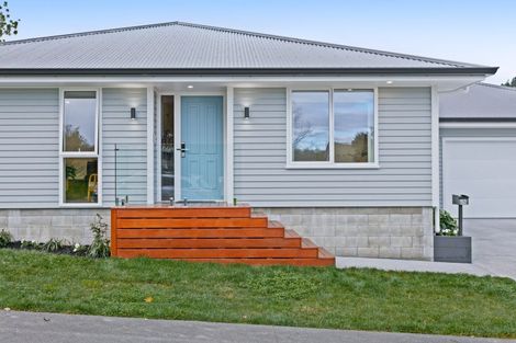 Photo of property in 202 Russell Street, Whataupoko, Gisborne, 4010