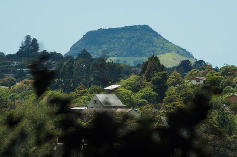 Photo of property in 185 Cambridge Road, Bethlehem, Tauranga, 3110