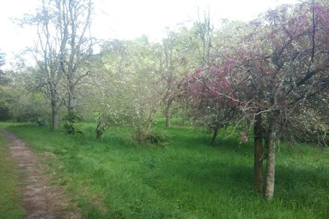 Photo of property in 88 Mark Road, Te Puke, 3188