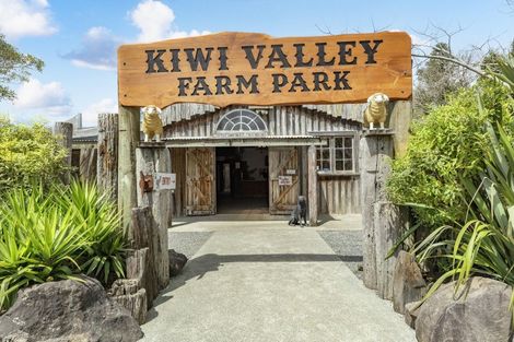 Photo of property in 308 Henderson Valley Road, Henderson Valley, Auckland, 0612