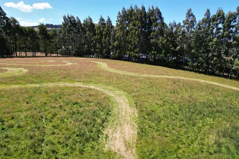 Photo of property in 30 Dalziel Road, Halfway Bush, Dunedin, 9010