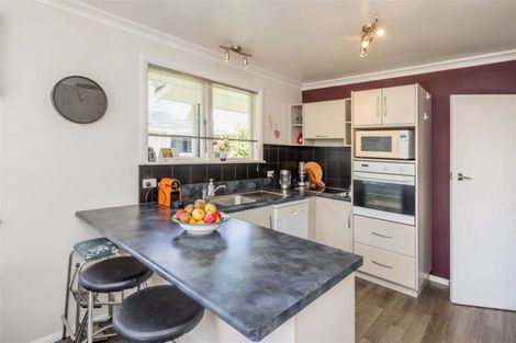 Photo of property in 21 Burn Street, Levin, 5510