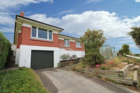 Photo of property in 82 Hillary Street, Liberton, Dunedin, 9010