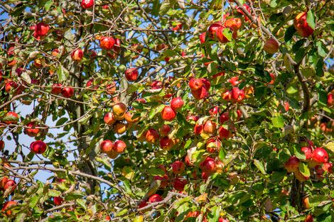 Photo of property in 589a Gladstone Road, Gladstone, Carterton, 5792