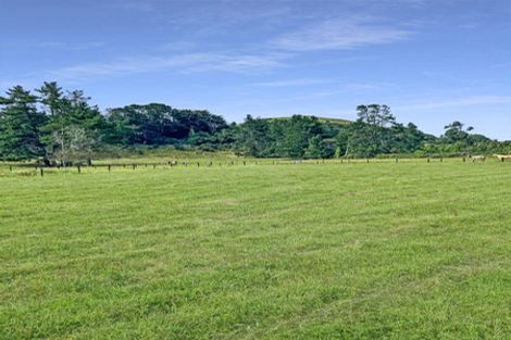Photo of property in 808 Pahiatua Pongaroa Road, Pahiatua, 4982
