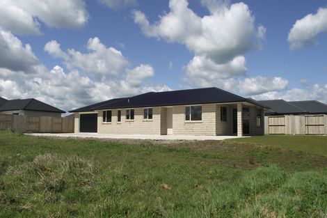 Photo of property in 5 Andrew Hilton Close, Morrinsville, 3300
