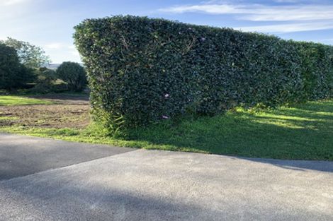 Photo of property in 16 Oxford Street, Tirau, 3410