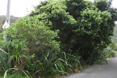 Photo of property in 124 Garden Road, Piha, 0772