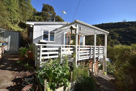 Photo of property in 7 Phoebe Street, Osborne, Port Chalmers, 9081