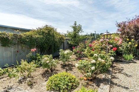 Photo of property in 77 Russell Street, Alexandra, 9320