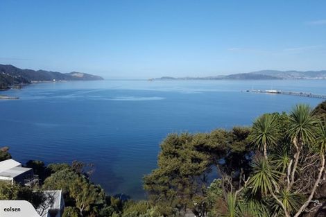 Photo of property in 131 Marine Drive, Sorrento Bay, Lower Hutt, 5013