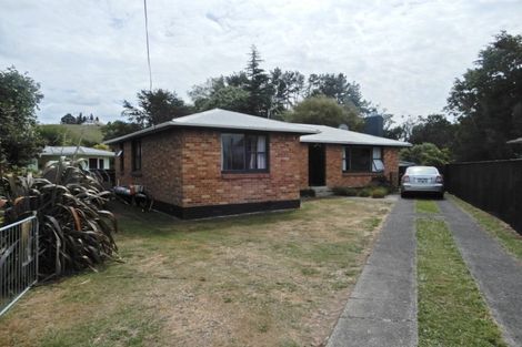 Photo of property in 149 Arapuni Street, Putaruru, 3411