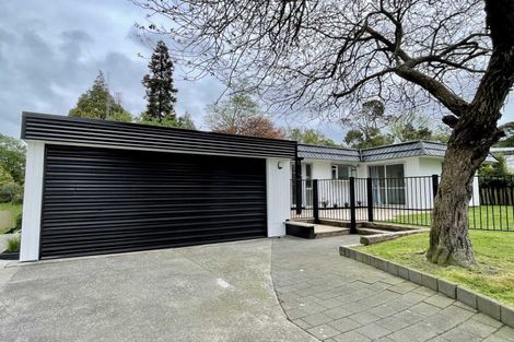 Photo of property in 40 Rothesay Place, Dinsdale, Hamilton, 3204