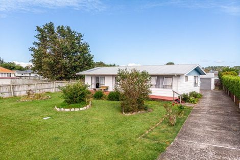 Photo of property in 3 Menzies Place, Paeroa, 3600
