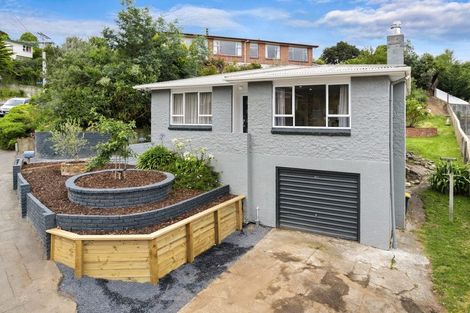 Photo of property in 45 Bryant Street, Kenmure, Dunedin, 9011