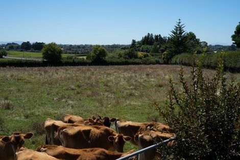 Photo of property in 10 Woolrich Road, Te Kowhai, Hamilton, 3288