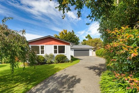 Photo of property in 30 Snowdon Avenue, Terrace End, Palmerston North, 4410