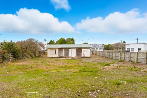 Photo of property in 8 Montgomery Street, Levin, 5510