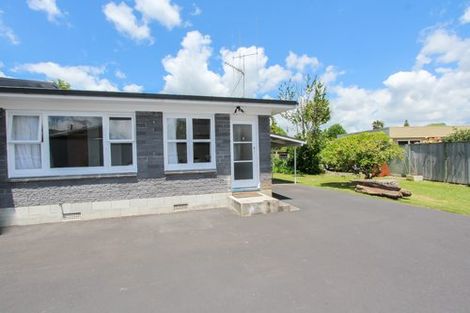 Photo of property in 13a Patricia Avenue, Hamilton East, Hamilton, 3216